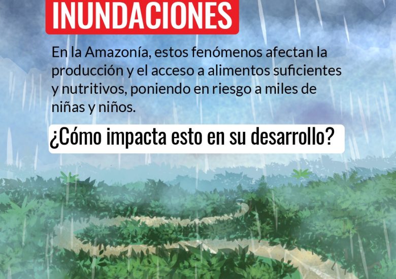 🌧️Cuando ocurren inundaciones en la Amazonía, los cultivos se pierden y se reduce el acceso a a